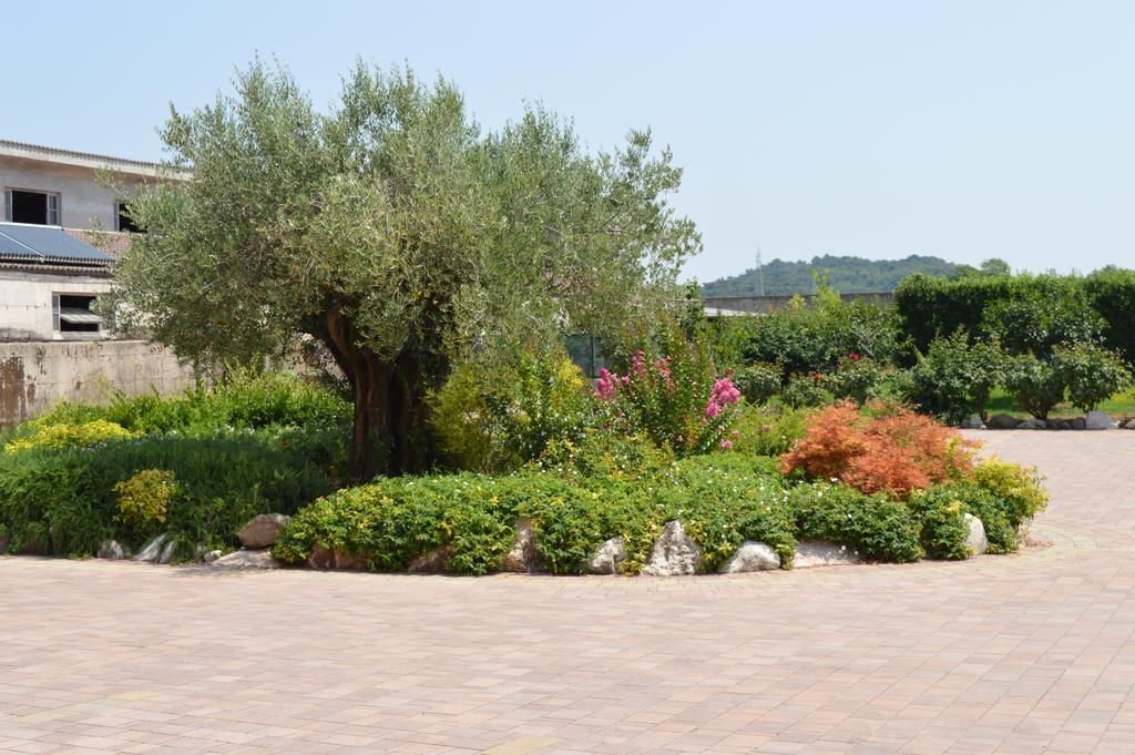 Agriturismo Ca' Del Gal Valeggio sul Mincio Eksteriør billede