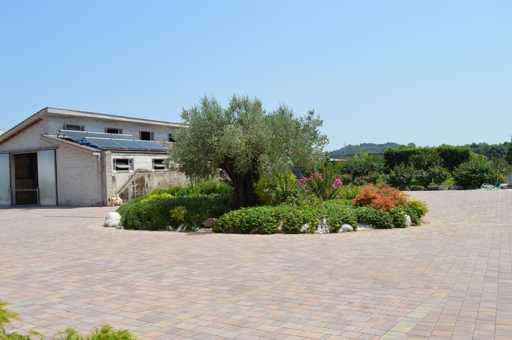 Agriturismo Ca' Del Gal Valeggio sul Mincio Eksteriør billede
