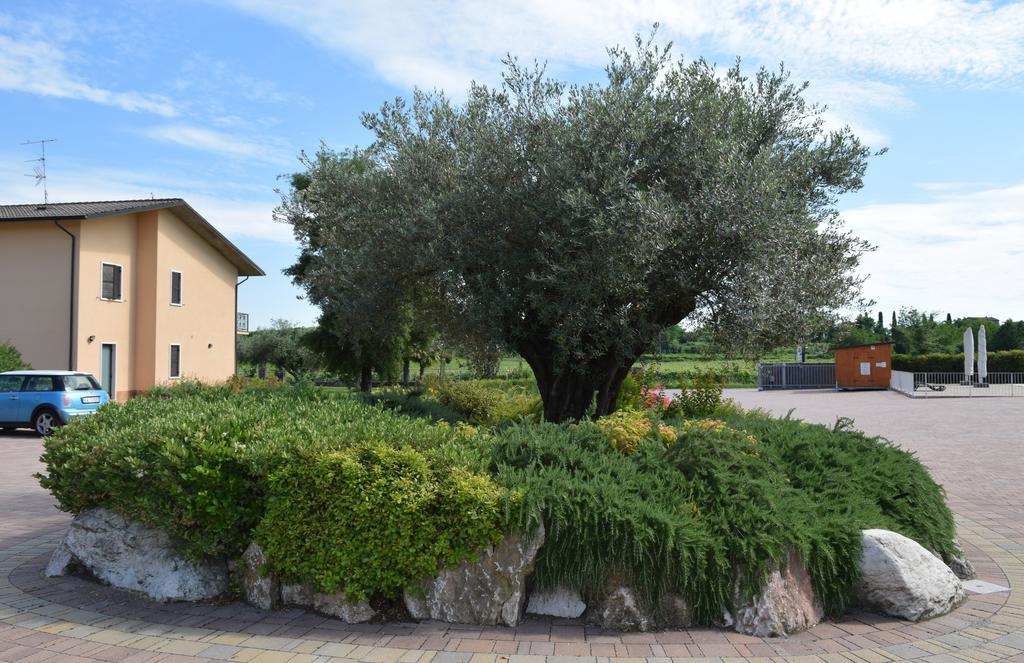 Agriturismo Ca' Del Gal Valeggio sul Mincio Eksteriør billede