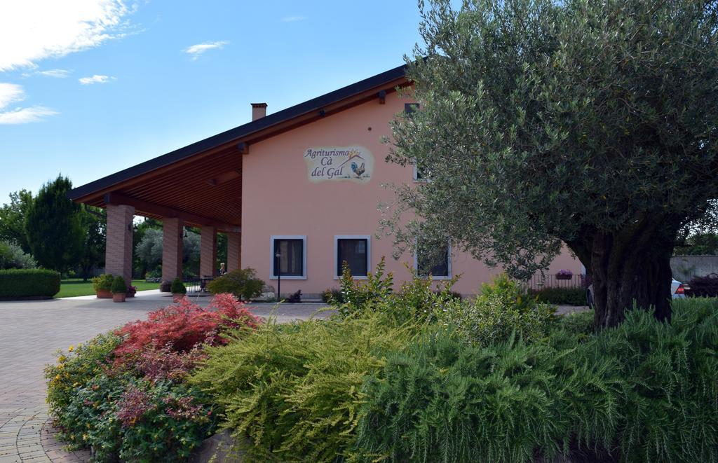 Agriturismo Ca' Del Gal Valeggio sul Mincio Eksteriør billede
